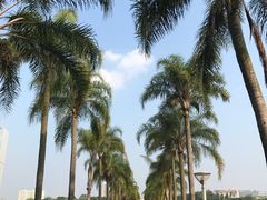 -南宁南湖公园