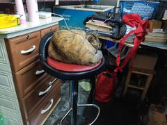 -协和菜馆(凤凰街店)