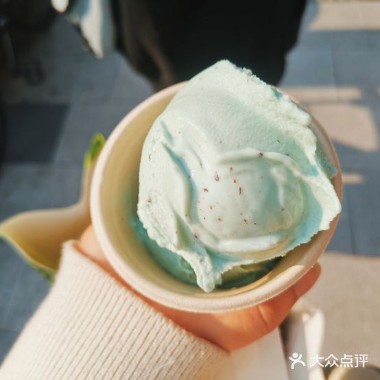 纸牌屋收藏卡舍