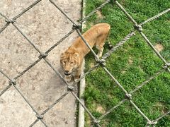 -西霞口神雕山野生动物世界