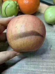 点击看大图 -韩美绣野生眉纹眉洗眉连锁店