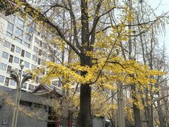 -四川大学(华西校区)