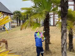 -太阳岛度假酒店