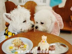 -趣玩宠物乐园寄养训犬训狗游泳池