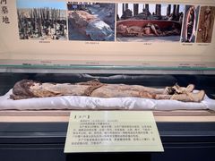 -巴音郭楞蒙古自治州博物馆