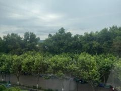 -杭州君悦酒店