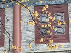 -大慈恩寺(大雁塔)