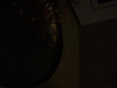 -晶品养生·SPA·影院式足道(汇臻店)