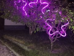 -扬州瘦西湖温泉