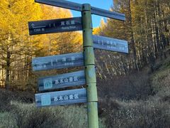 -苏木山森林公园