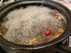 -蘑统田下·野生菌火锅