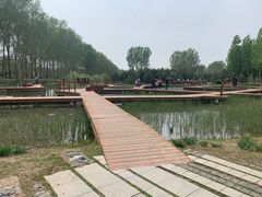 -东郊湿地公园