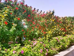 -郑州植物园