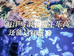 -圣淘沙名胜世界