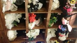 android_upload_pic-费拉摄影(天廊T66店)