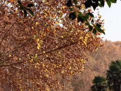 -河南省黄河迎宾馆