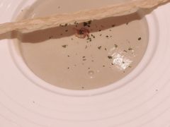 -Deer Park鹿园西餐(仁恒置地广场店)