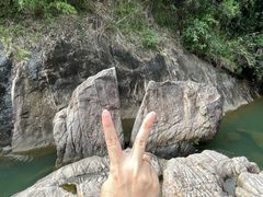 -广州白江湖森林公园