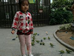 景点-南宫五洲植物乐园