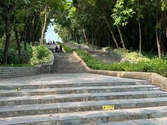 -深圳国际园林花卉博览园