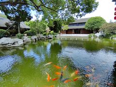 景点-口岸雕花楼