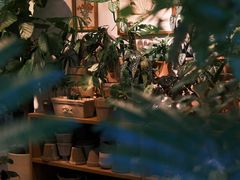 -自由生长植物工作室(深港花卉中心店)