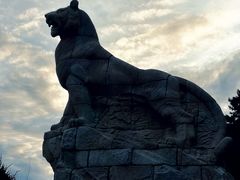 -帽儿山国家森林公园