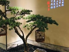 -小厨娘淮扬菜(六合欢乐港店)