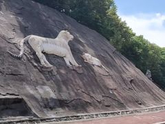 -哈尔滨北方森林动物园