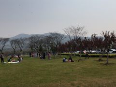 -江阴敔山湖公园
