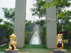 -南丹山森林王国
