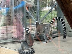 -石家庄市动物园