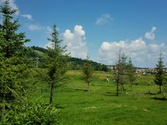 android_upload_pic-长白山万达喜来登度假酒店