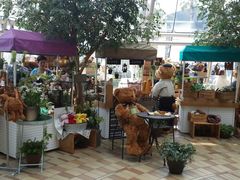 android_upload_pic-济州岛泰迪熊博物馆