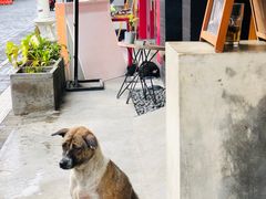 -乌布德传统市场