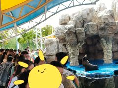 -华夏文旅海洋公园