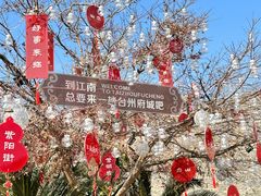 -紫阳古街