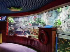 -太平洋海底世界