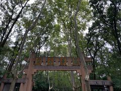 -灵谷景区