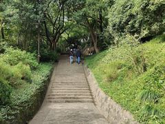 -吴山景区