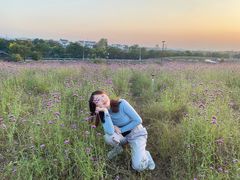 -大塘金香草谷