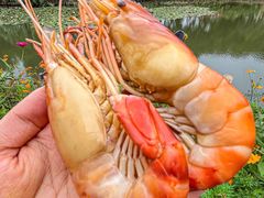 -丫丫蟹庄·苏式园林农家乐·阳澄湖大闸蟹(阳澄湖莲花岛店)