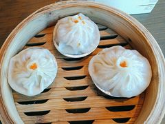 -同禧荟·港味海鲜火锅·粤菜(三亚湾店)