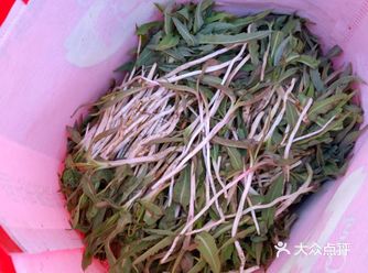 #觅食记  你吃过这种野菜吗