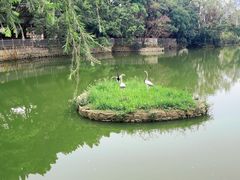 -人民公园(罗湖区)