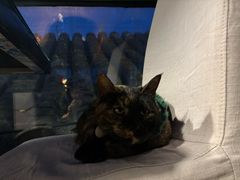 -EATALIA意塔利意式餐厅(鼓楼店)