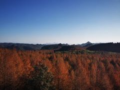 -山王坪喀斯特国家生态公园