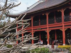 -顺峰山公园
