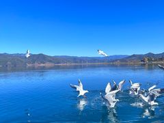 -丽江泸沽湖景区