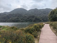 -广州市石门国家森林公园